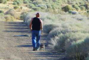 travel with pet to the desert